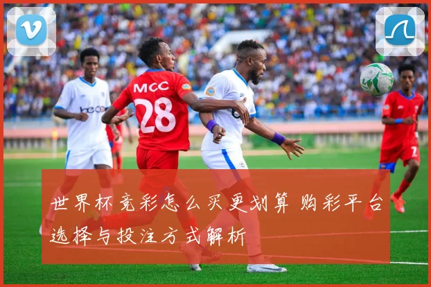 世界杯竞彩怎么买更划算 购彩平台选择与投注方式解析